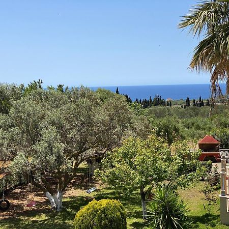 Lemon Tree Apartments A D Argostoli  Exterior foto